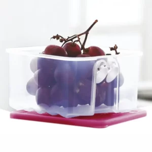 1 Ltr Tupperware Fridgesmart Small (1 pc)