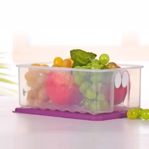 Tupperware Fridgesmart Medium (1 pc)