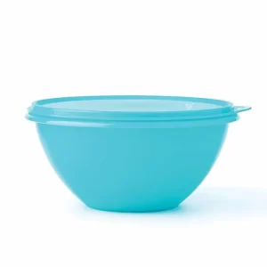 1.1 Ltr Plastic Wonderlier Bowl (Set of 1)