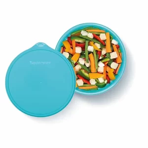 1.1 Ltr Plastic Wonderlier Bowl (Set of 1)