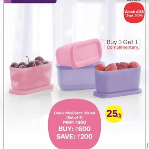 Cubix Mini Rect 250 ml (Set of 4)