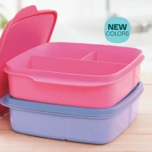 Fun Meal Box 500ml (Set of 2)