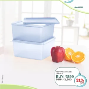 Keep Tab Large 2.5L (Set of 2)