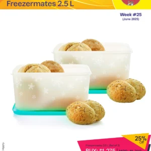 Freezermates 2.5L (Set of 2)