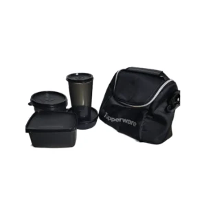 Lunch Delight Set