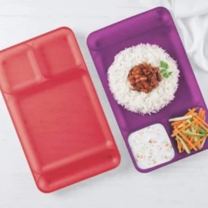 Tupperware Dining Tray (Set of 2)