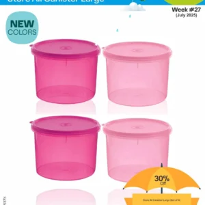 Store All Canister Large (Set of 4)