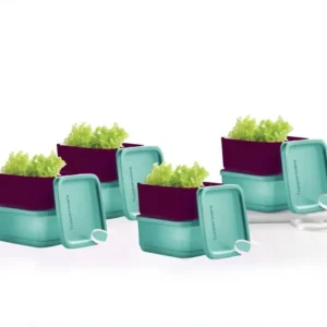 Cubix 650ml (Set of 8)